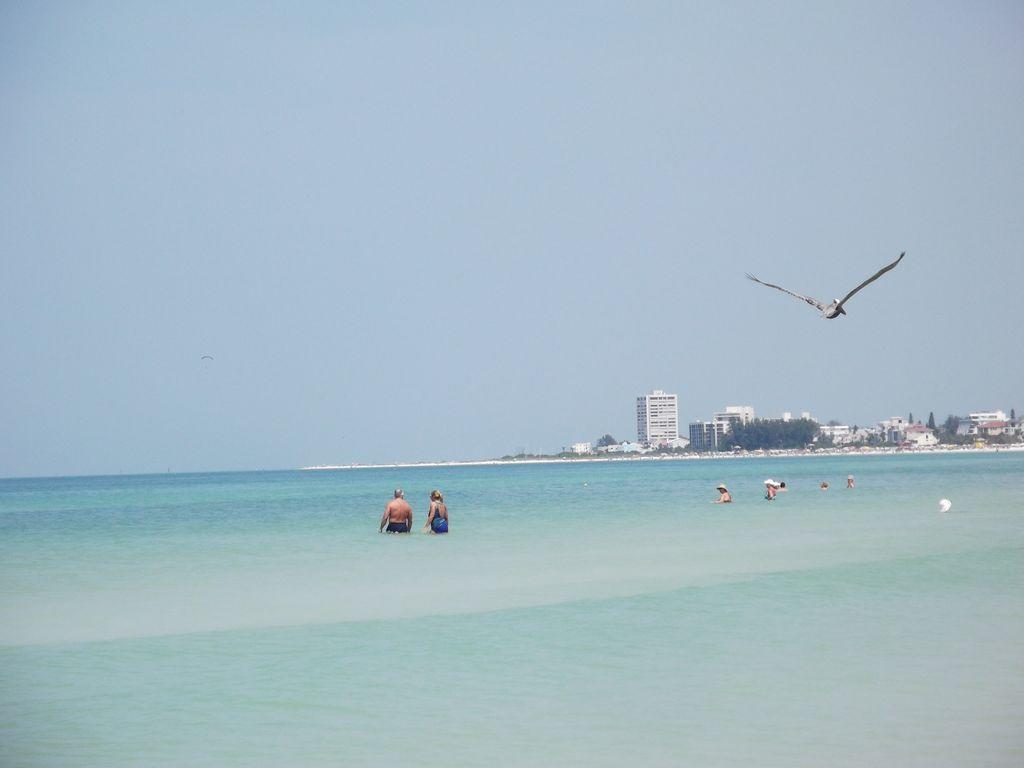1+1 Large Condo Sarasota Eksteriør bilde